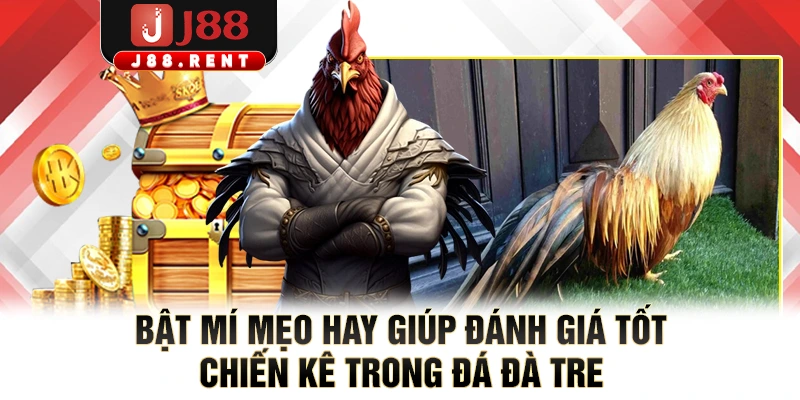 Bật mí mẹo hay giúp đánh giá tốt chiến kê trong đá gà tre