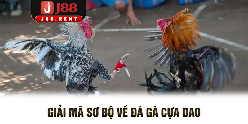 Giải mã sơ bộ về đá gà cựa dao