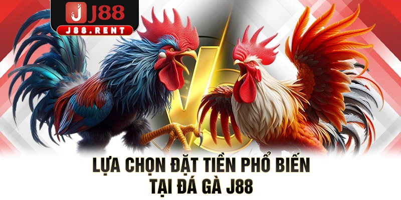 Lựa chọn đặt tiền phổ biến tại đá gà J88